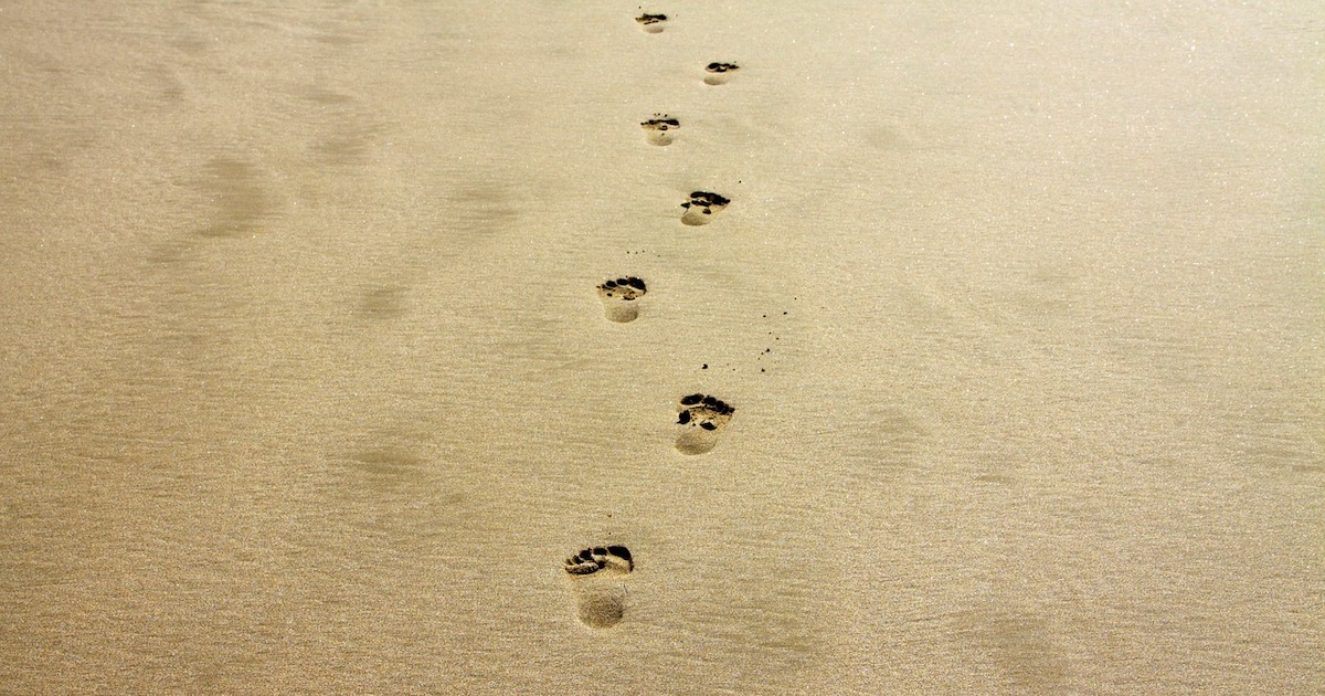 Footprints: Server Headers featured image